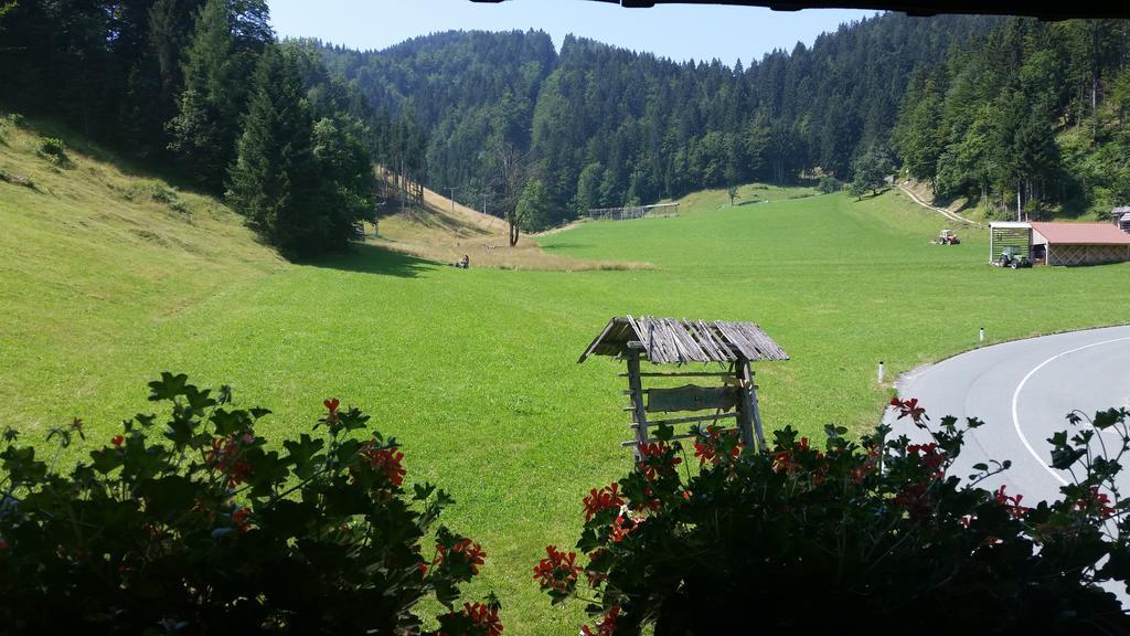 Brunarica Bled Zatrnik Pokljuka Номер фото