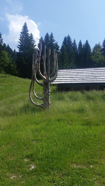 Brunarica Bled Zatrnik Pokljuka Экстерьер фото