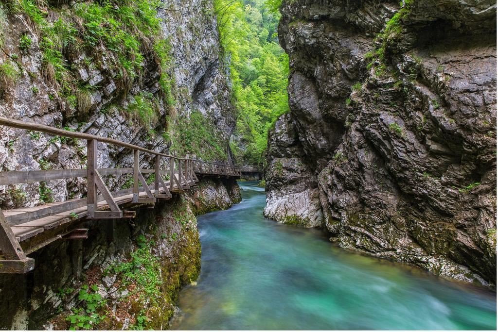 Brunarica Bled Zatrnik Pokljuka Экстерьер фото