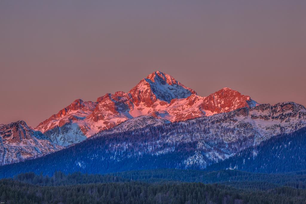 Brunarica Bled Zatrnik Pokljuka Экстерьер фото